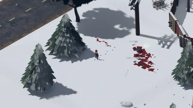 Snow north